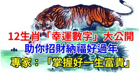 屬狗幸運數字|12生肖「幸運數字」曝光！專家：掌握好一生富貴